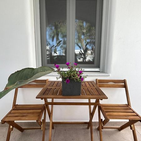 To Spitaki Sas, In Santorini! Apartment Месария Екстериор снимка